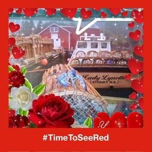 Meet your Posher, Lynette